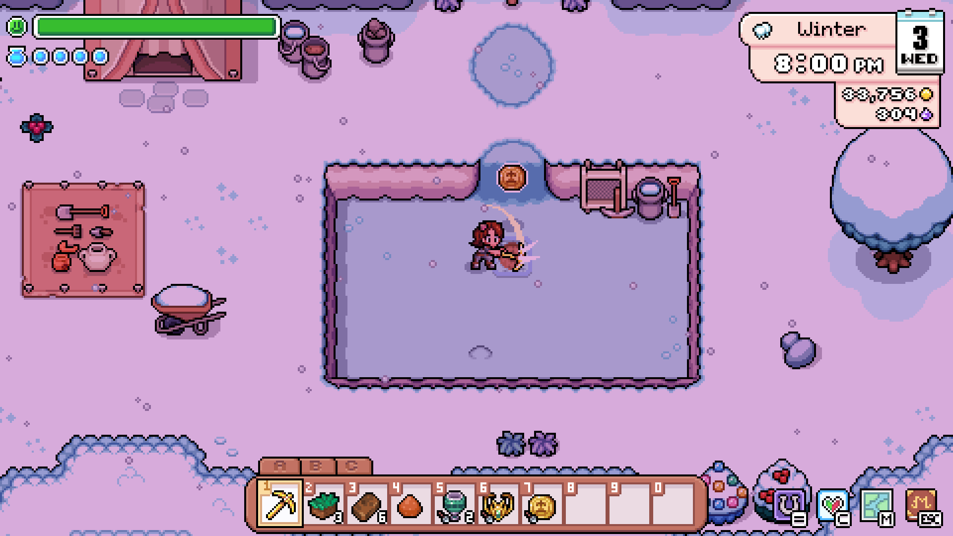 Player competing with an animal at the winter Animal Festival